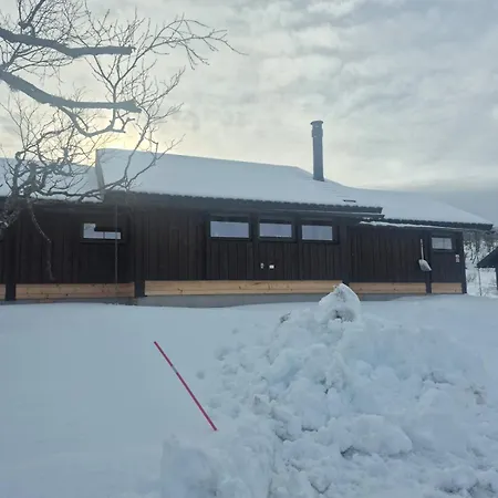 Holiday home Mountain Gullingen