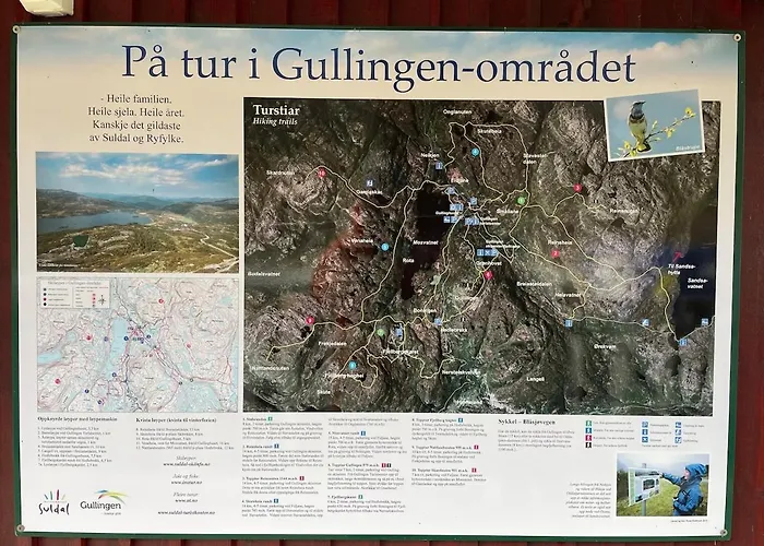 Feriehus Mountain Gullingen
